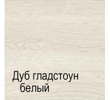 Двухстворчатый шкаф-купе для одежды СЛ-9 Лацио
